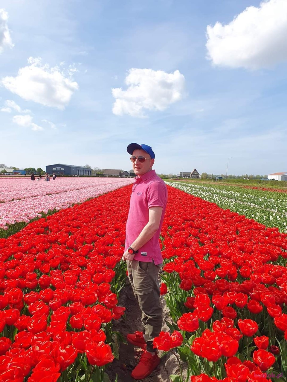 Mateo, Mężczyzna, 35, 's-Hertogenbosch, Holandia: 1