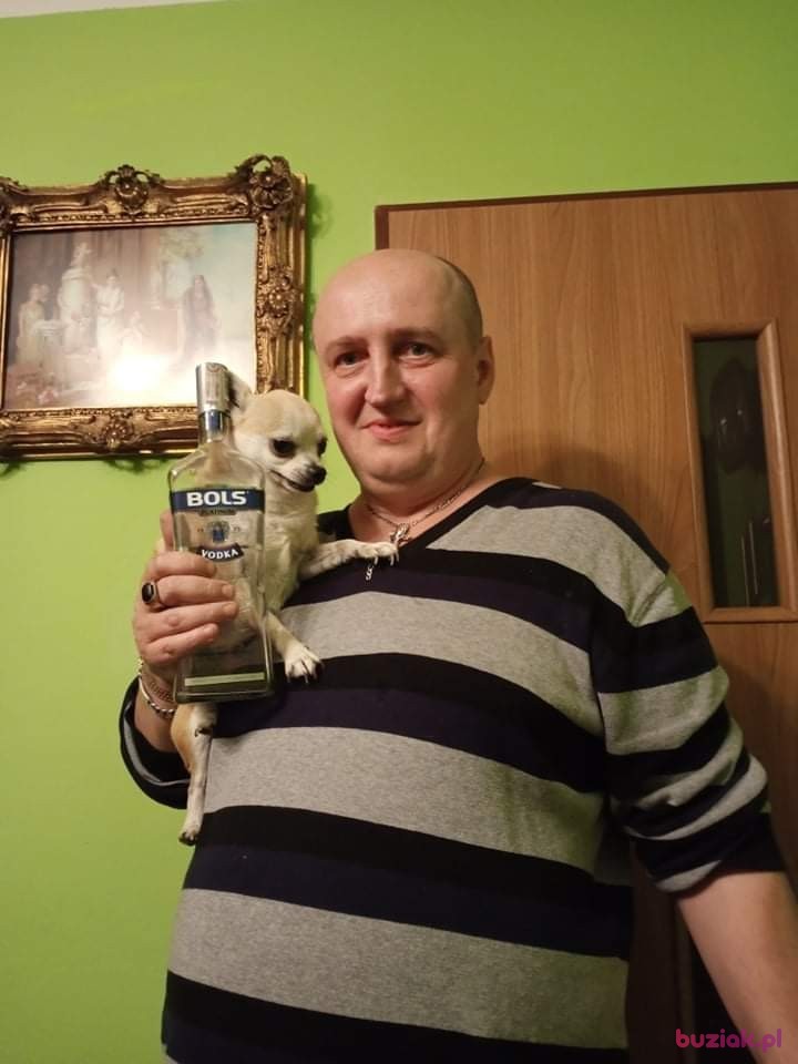 Tomasz, Mężczyzna, 50, Nysa, Polska, Zdjęcie: 1