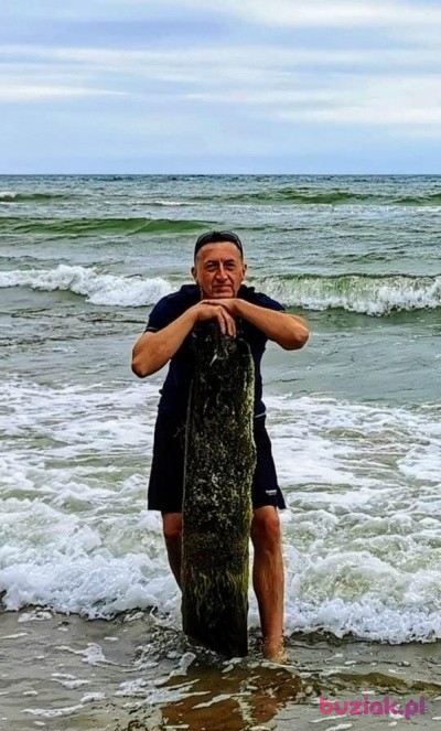 Tomek, Mężczyzna, 54, Bydgoszcz, Polska: 1