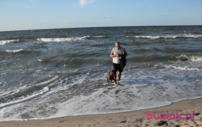 Marek, Male, 65, Zawiercie, Polska, Photo: 3