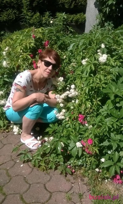 Katarzyna , Kobieta, 53, Brzeg, Polska, Zdjęcie: 3