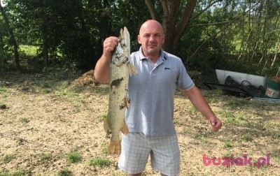 Dariusz , Mężczyzna, 51, Frankfurt, Niemcy: 1