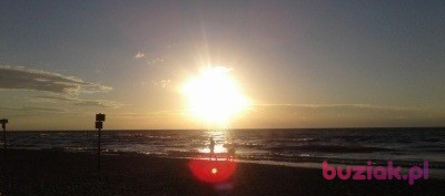 Adam , Male, 63, Wieliczka, Polska, Photo: 2