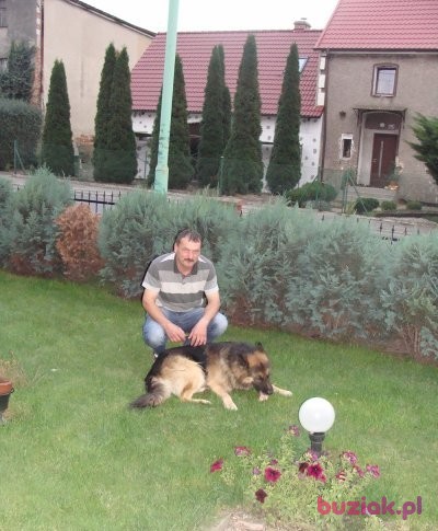 marek, Mężczyzna, 53, Jawor, Polska, Zdjęcie: 1