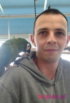 Krzysztof, Male, 40, Ostróda, Polska, Photo: 5
