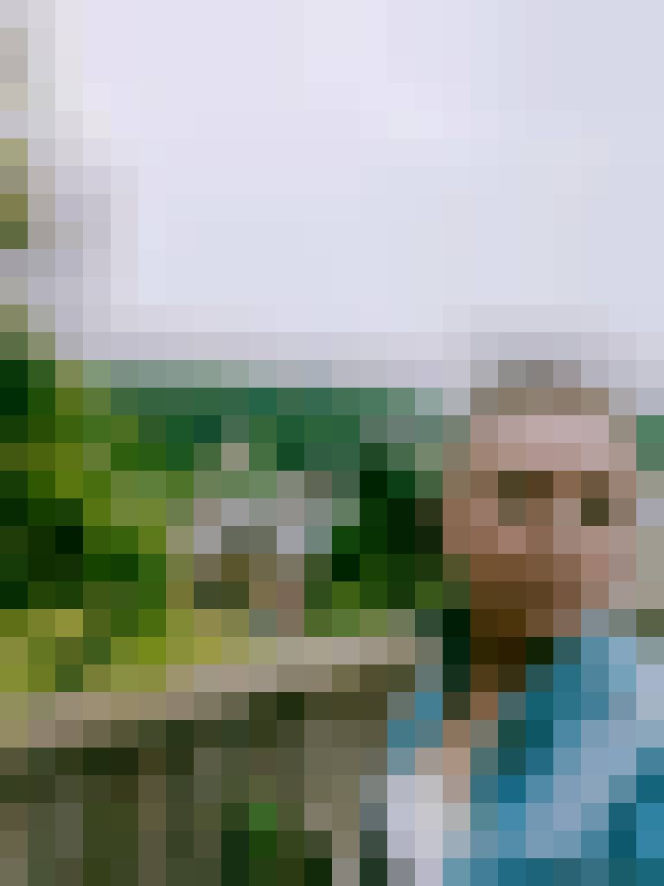 Doris, Kobieta, 41, Rotterdam South Holland Province, Holandia, Zdjęcie: 2
