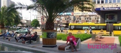 Terenia, Kobieta, 63, Katowice, Polska, Zdjęcie: 5