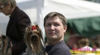 Toma01, Male, 64, Piaseczno, Polska, Photo: 8