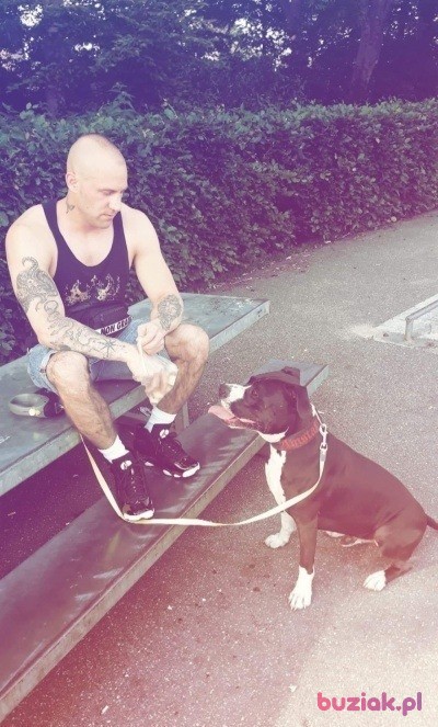 Sebastian, Mężczyzna, 36, Oss North Brabant Province, Holandia, Zdjęcie: 2