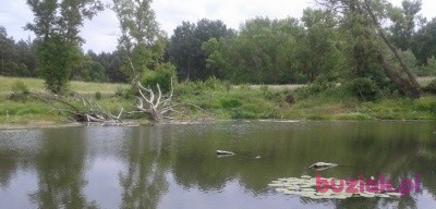 Paweł, Mężczyzna, 36, Nowy Dwór Mazowiecki, Polska, Zdjęcie: 1