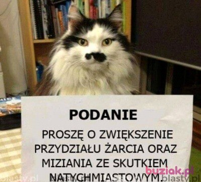 PIOTR, Male, 51, Polska, Photo: 6