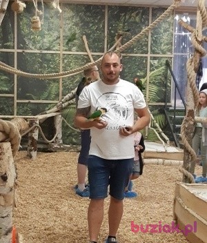 Bartosz , Mężczyzna, 40, Rotterdam South Holland Province, Holandia: 1