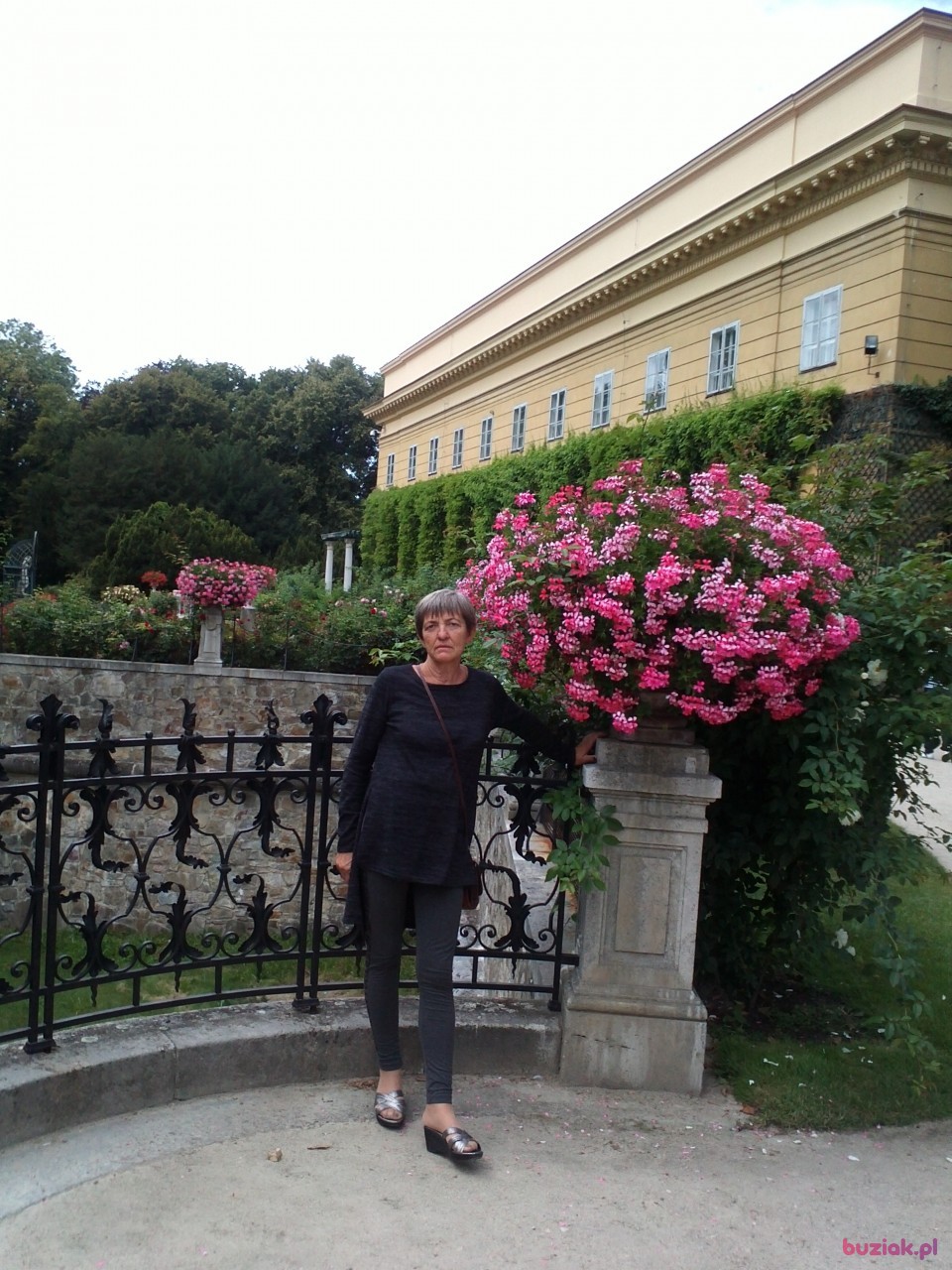 BARBARA, Kobieta, 68, Arcen Limburg Province, Holandia: 1