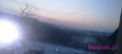 Przemyslaw, Mężczyzna, 33, Loughborough, Wielka Brytania, Zdjęcie: 3