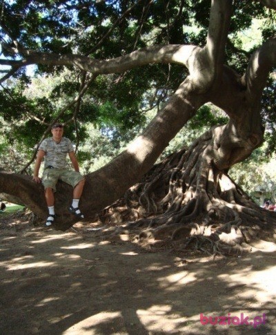 Dean, Male, 51, Lublin, Polska, Photo: 4