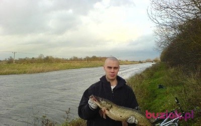 Marcin, Mężczyzna, 42, Mrocza, Polska, Zdjęcie: 3