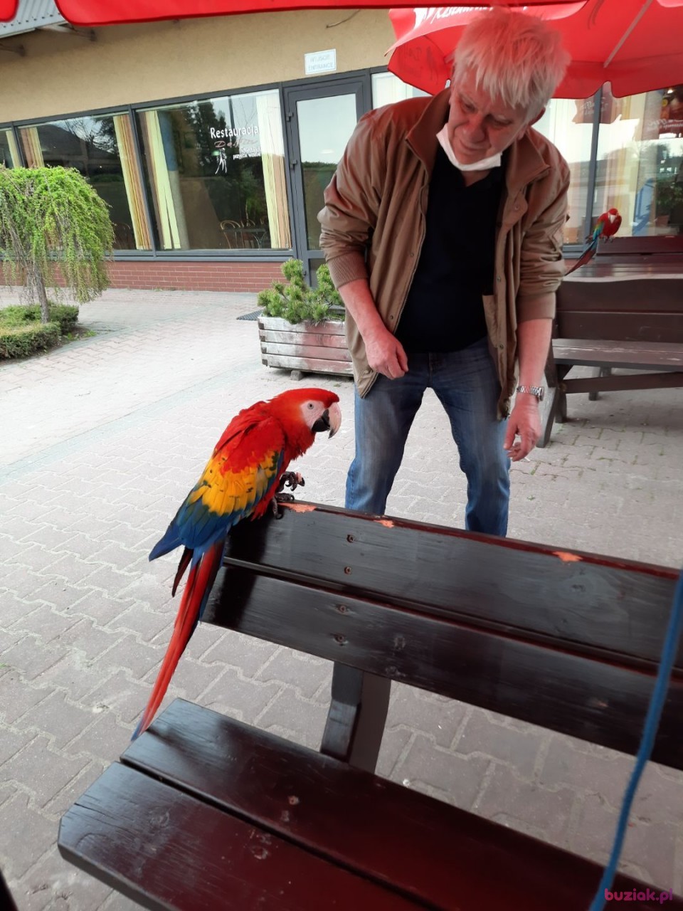 jwarenn, Male, 74, Warszawa, Polska, Photo: 8