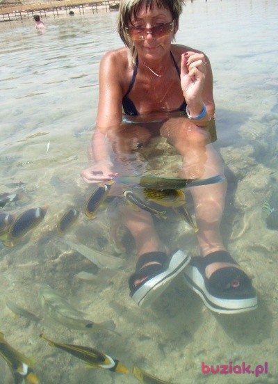 iwona, Kobieta, 59, Kielce, Polska, Zdjęcie: 1