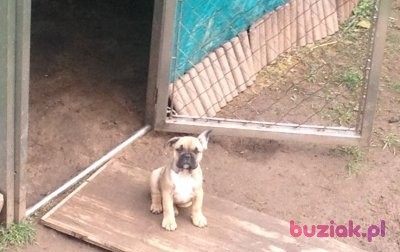 Pavelll, Mężczyzna, 39, Lublin, Polska, Zdjęcie: 3