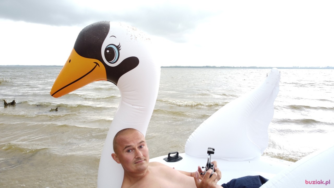 Michał, Mężczyzna, 36, Zgierz, Polska, Zdjęcie: 553