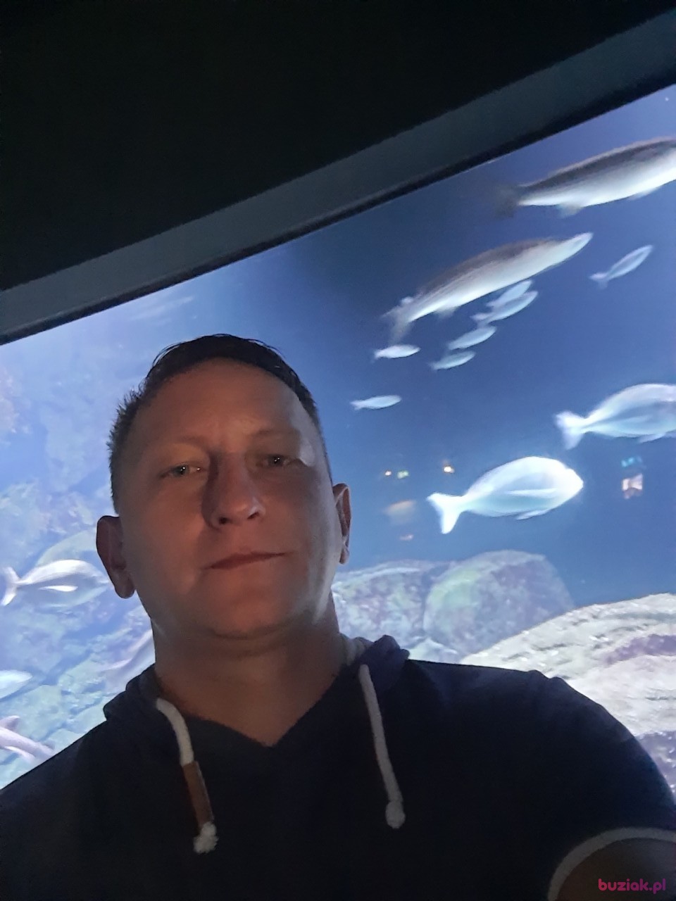 Emil, Mężczyzna, 42, Rotterdam South Holland Province, Holandia, Zdjęcie: 1
