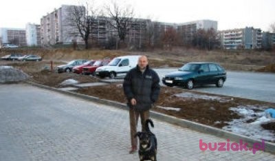 JUREK, Mężczyzna, 70, Lublin, Polska, Zdjęcie: 2