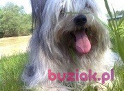 hendrix2, Male, 71, Lublin, Polska, Photo: 2