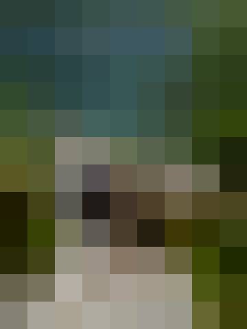 Renata, Kobieta, 53, Polska, Zdjęcie: 1