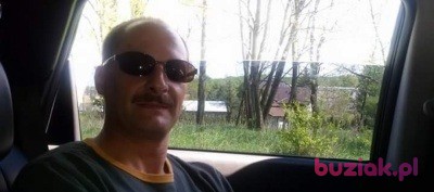 Arek, Male, 52, Lisse South Holland Province, Holandia, Photo: 5