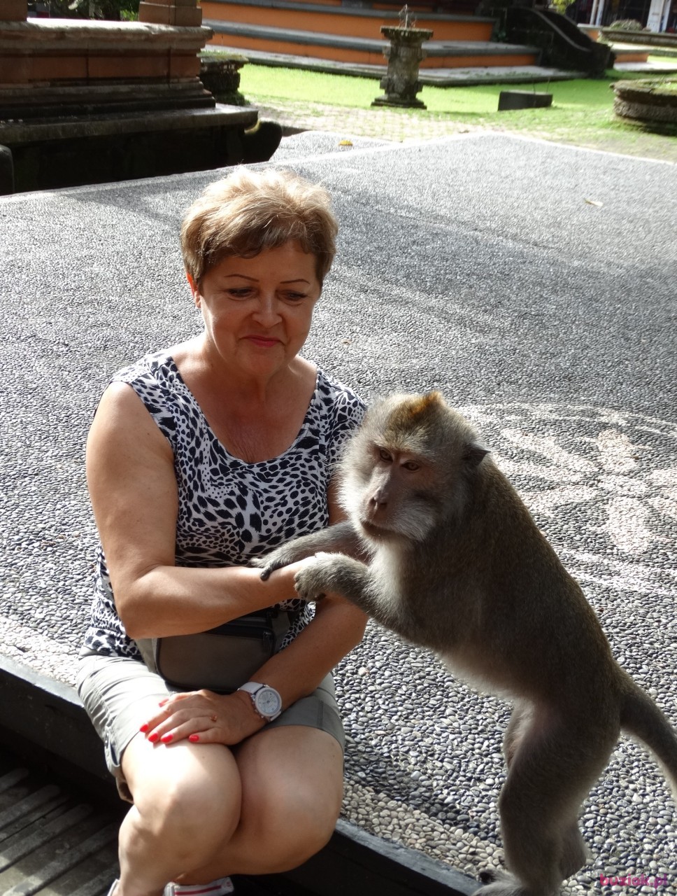 Ella, Kobieta, 70, Gdańsk, Polska, Zdjęcie: 3