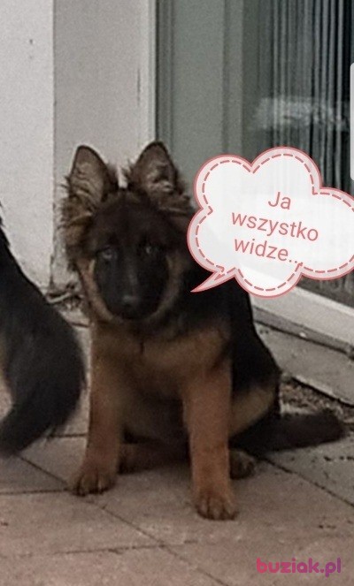 Nikki, Male, 42, Dąbrowa Górnicza, Polska, Photo: 4