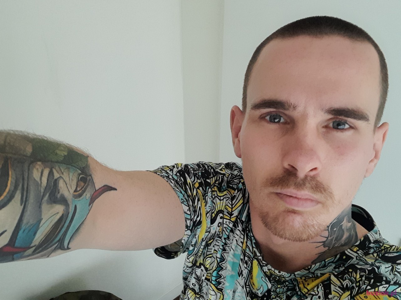 Tomasz, Mężczyzna, 35, Holandia, Zdjęcie: 1