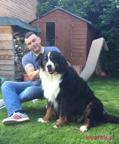 robert, Mężczyzna, 49, Boston, Wielka Brytania, Zdjęcie: 7