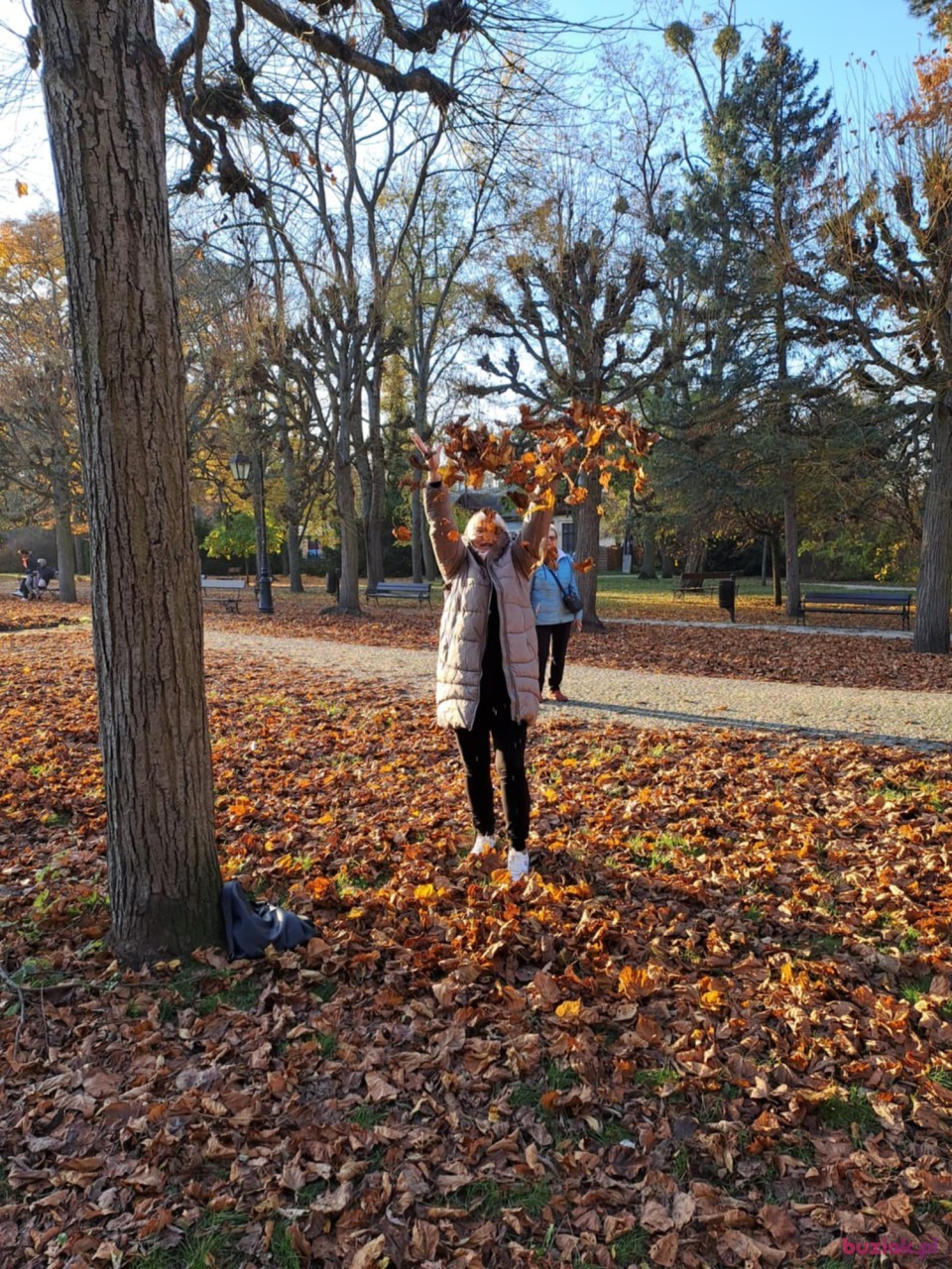 Joanna, Kobieta, 52, Włocławek, Polska, Zdjęcie: 4