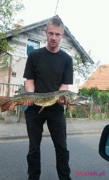 Mati, Male, 37, Międzychód, Polska: 1