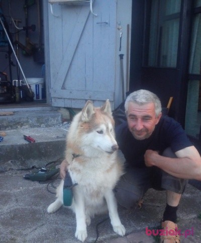 Andrzej, Male, 58, Copenhagen Zealand, Dania, Photo: 2