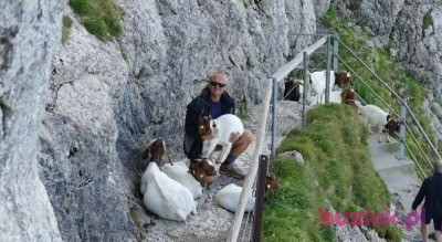 Andrzej, Male, 57, Katowice, Polska, Photo: 4
