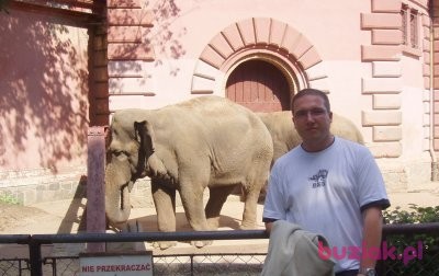 Paweł, Male, 41, Boguszów-Gorce, Polska, Photo: 3
