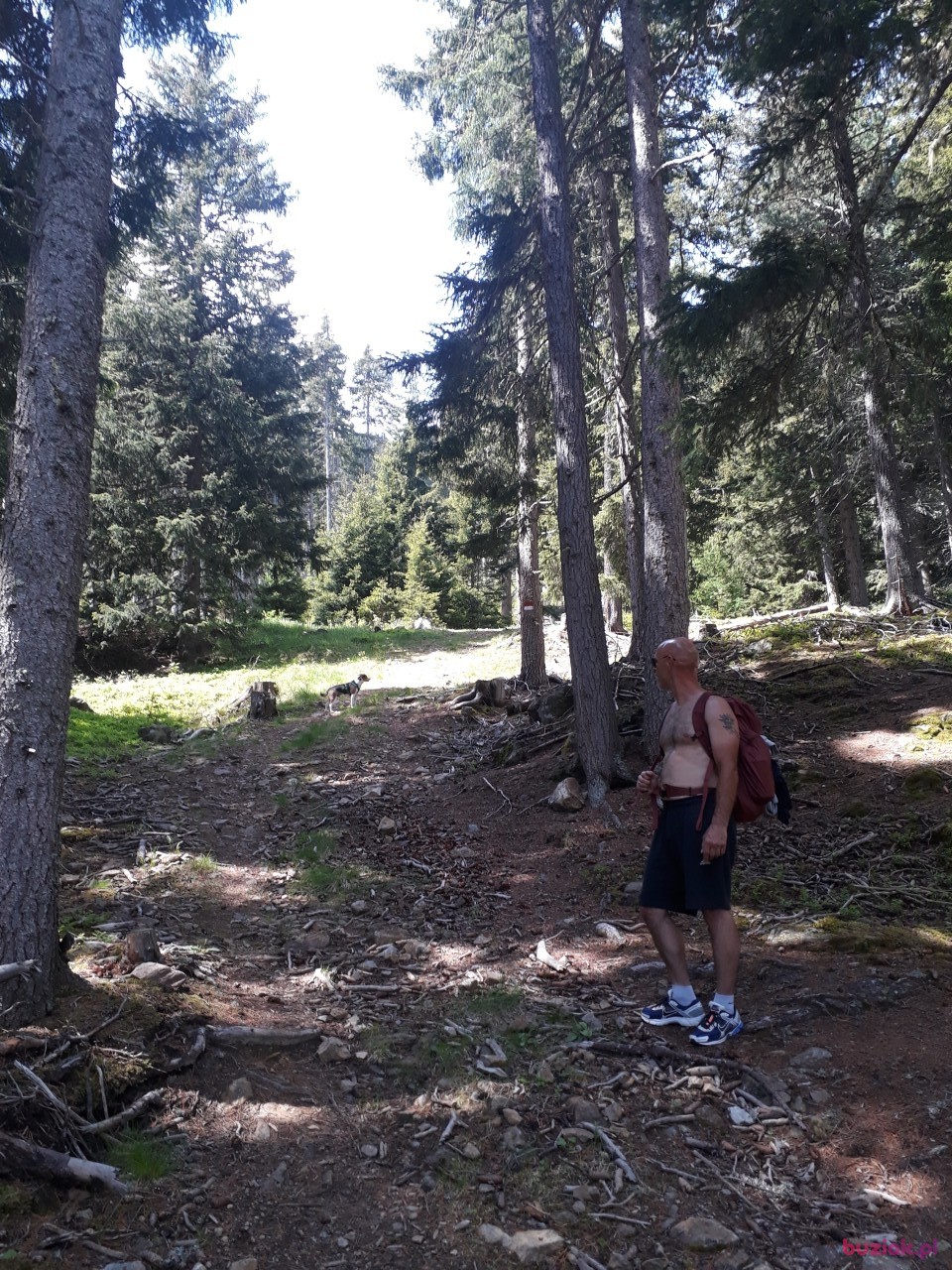 Przemek, Male, 46, Monachium, Niemcy, Photo: 2