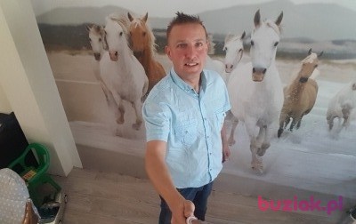 Arek , Mężczyzna, 45, Oss North Brabant Province, Holandia, Zdjęcie: 2