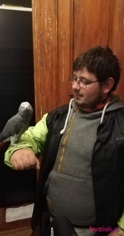 Paweł, Male, 26, Wrocław, Polska, Photo: 3