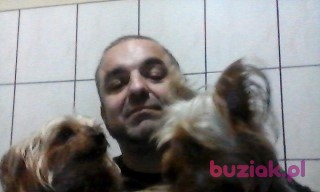 Jacek, Mężczyzna, 56, Złotów, Polska, Zdjęcie: 3
