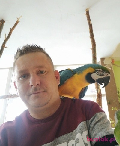 Robert, Mężczyzna, 43, Holandia: 1