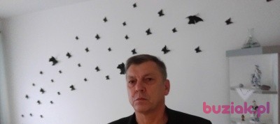 Zygmunt , Male, 62, Darłowo, Polska, Photo: 1