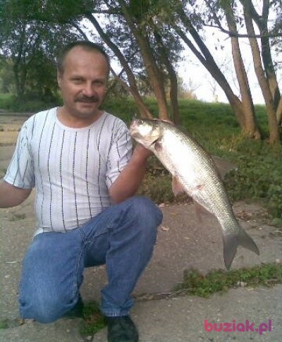 darek, Male, 58, Brzeg Dolny, Polska, Photo: 1