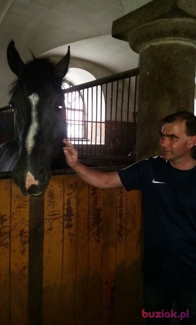 Waldi, Male, 49, Koło, Polska, Photo: 2