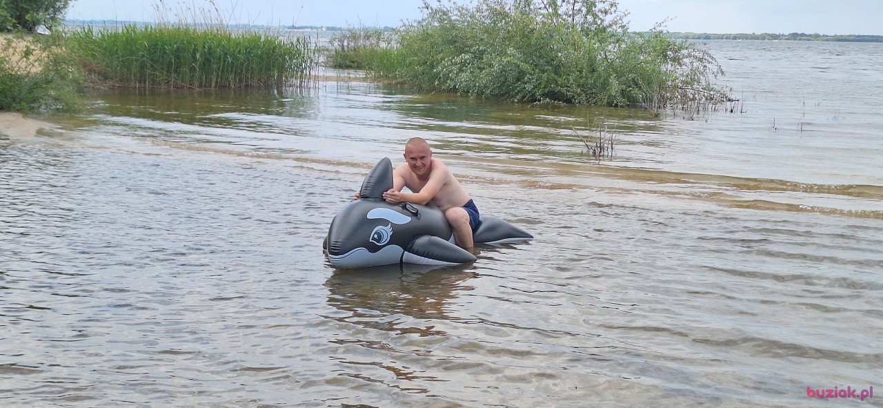 Michał, Mężczyzna, 36, Zgierz, Polska, Zdjęcie: 354