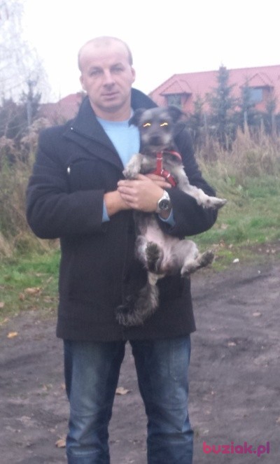 Tomasz, Male, 55, Radomsko, Polska, Photo: 4