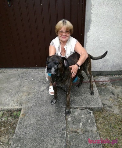ewa, Kobieta, 61, Pabianice, Polska, Zdjęcie: 5