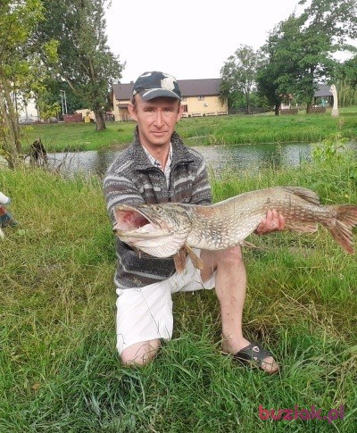 stanisław, Mężczyzna, 45, Chełm, Polska, Zdjęcie: 2
